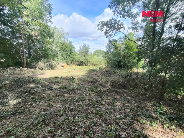 Prodej pozemku pro bydlení, Čejetice - Sedlíkovice, 689 m2