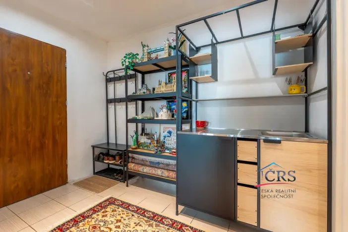 Prodej bytu 2+kk, Praha - Nusle, Družstevní, 44 m2