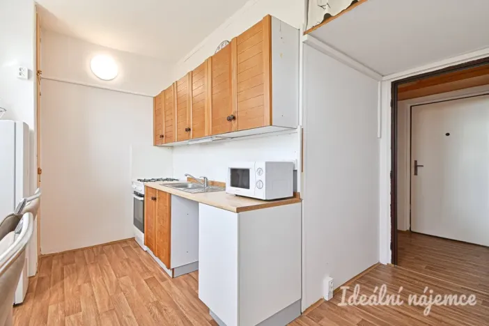 Pronájem bytu 1+1, Brno, Ibsenova, 35 m2