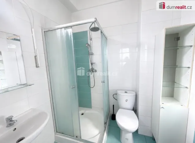 Pronájem bytu 3+kk, Chlumec, Holubova, 100 m2