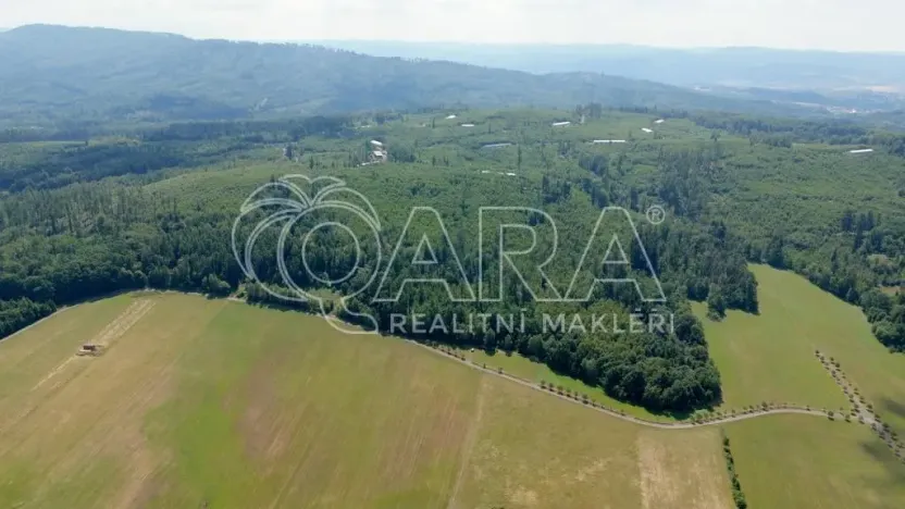 Prodej lesa, Hostašovice, 17015 m2