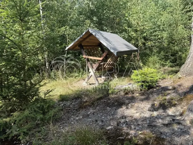 Prodej lesa, Hostašovice, 17015 m2