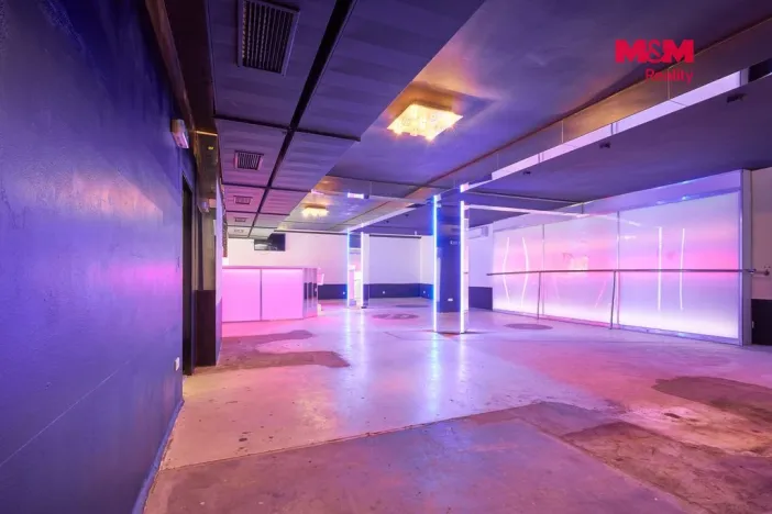 Pronájem obchodního prostoru, Drslavice, 365 m2