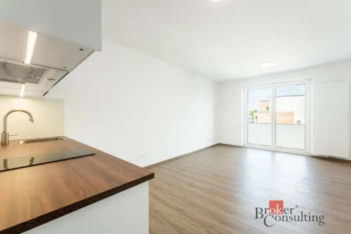 Pronájem bytu 1+kk, Olomouc - Nová Ulice, Třída Jiřího Pelikána, 39 m2
