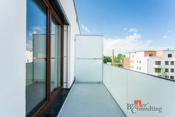 Pronájem bytu 1+kk, Olomouc - Nová Ulice, Třída Jiřího Pelikána, 39 m2