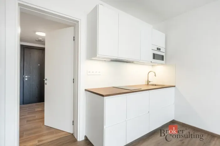 Pronájem bytu 1+kk, Olomouc - Nová Ulice, Třída Jiřího Pelikána, 39 m2