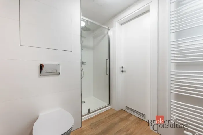 Pronájem bytu 1+kk, Olomouc - Nová Ulice, Třída Jiřího Pelikána, 39 m2