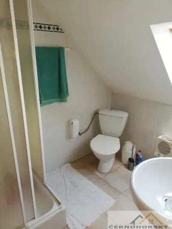 Prodej rodinného domu, Pochvalov, 250 m2