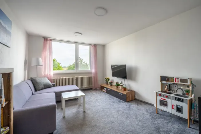 Prodej bytu 2+1, Vyškov - Vyškov-Předměstí, 57 m2