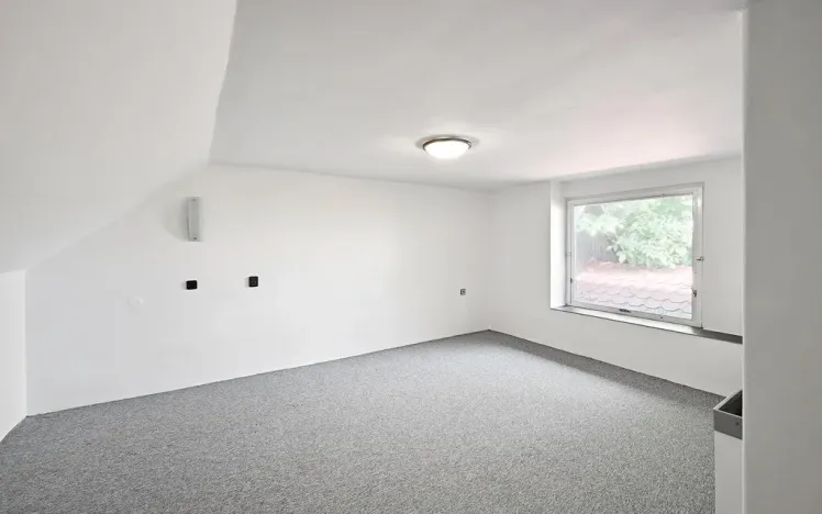 Prodej rodinného domu, Milešov, 250 m2