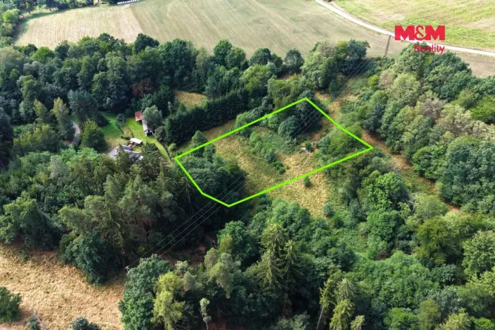 Prodej louky, Světlá nad Sázavou - Dolní Březinka, 1831 m2