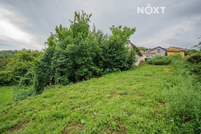 Prodej pozemku pro bydlení, Loštice, 3456 m2