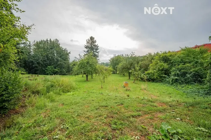 Prodej pozemku pro bydlení, Loštice, 3456 m2