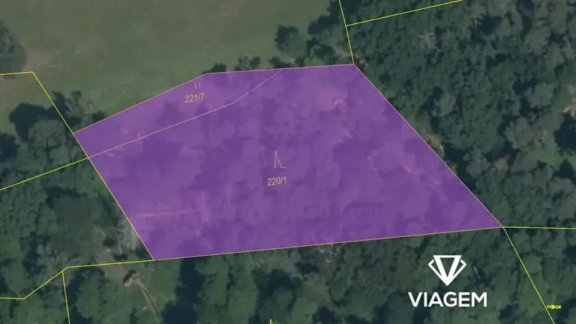 Prodej podílu lesa, Vrchotovy Janovice, 515 m2