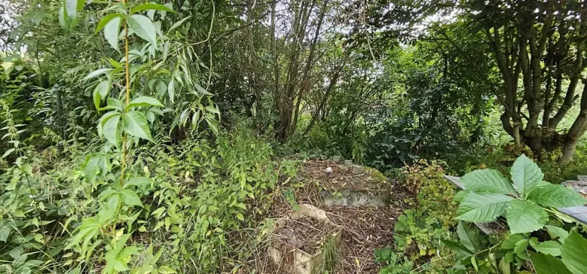 Prodej rodinného domu, Drhovle, 198 m2