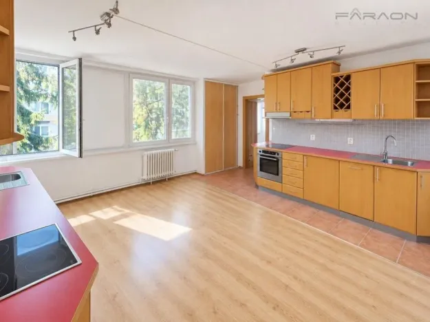 Prodej bytu 2+1, Praha - Karlín, Molákova, 55 m2