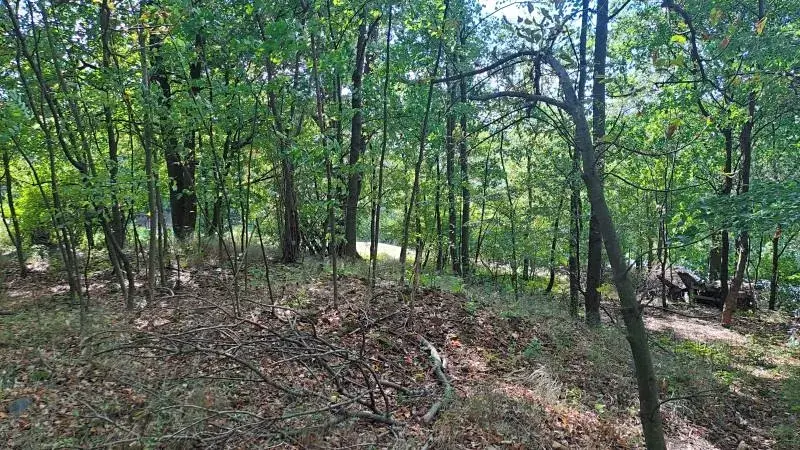 Prodej lesa, Nový Jičín, 1324 m2