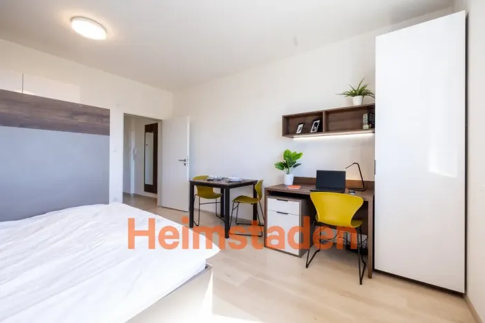 Pronájem bytu 1+kk, Plzeň - Jižní Předměstí, Magisterská, 27 m2