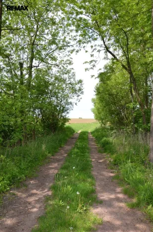 Prodej zahrady, Železnice, 448 m2