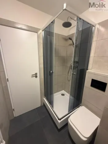 Pronájem bytu 1+1, Most, Marš. Rybalka, 35 m2