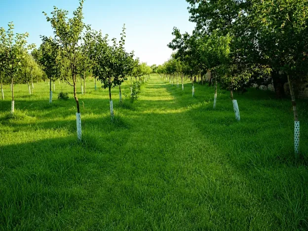 Prodej vícegeneračního domu, Pečky, 280 m2