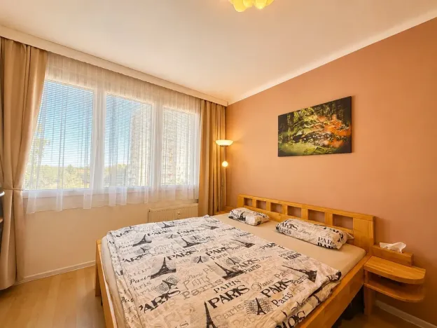 Prodej bytu 3+1, České Budějovice - České Budějovice 3, Kubatova, 58 m2