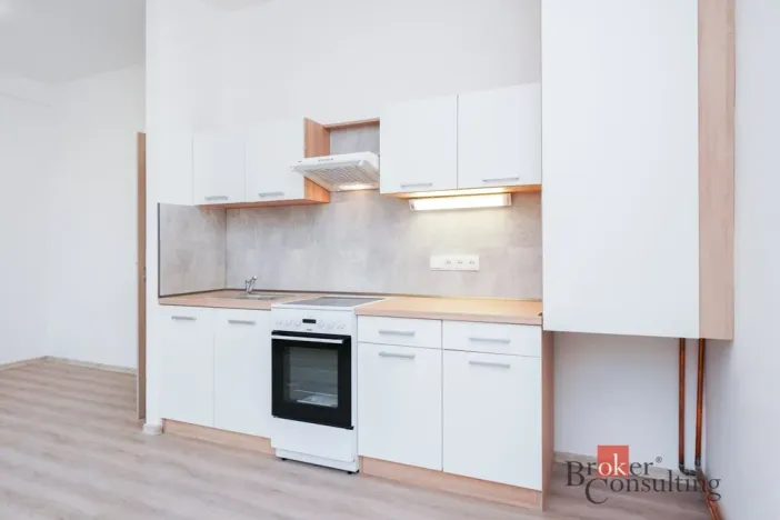 Pronájem bytu 2+kk, Mlékojedy, 52 m2