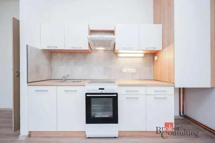 Pronájem bytu 2+kk, Mlékojedy, 52 m2