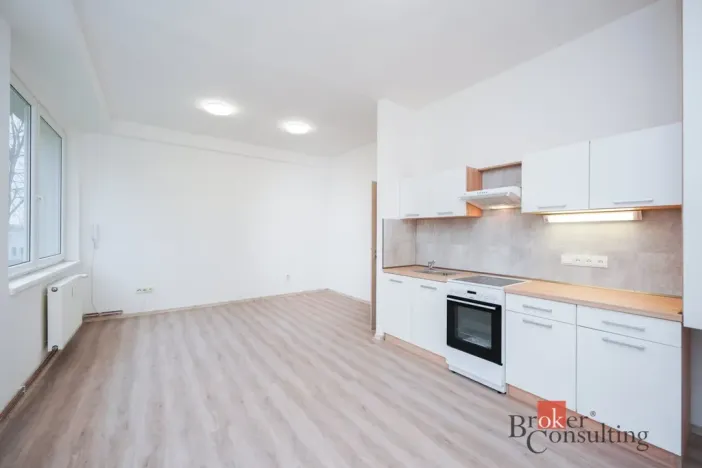 Pronájem bytu 2+kk, Mlékojedy, 52 m2