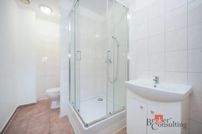Pronájem bytu 2+kk, Mlékojedy, 52 m2