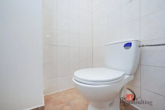 Pronájem bytu 2+kk, Mlékojedy, 52 m2