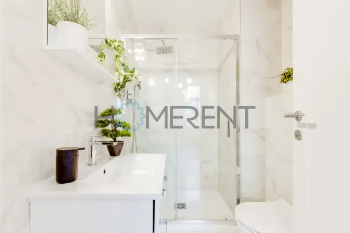 Pronájem bytu 2+kk, Praha - Karlín, Kaizlovy sady, 53 m2