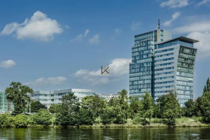 Pronájem obchodního prostoru, Praha - Holešovice, Jankovcova, 239 m2