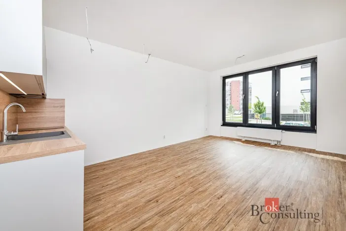 Pronájem bytu 1+kk, Plzeň - Jižní Předměstí, Železná, 35 m2