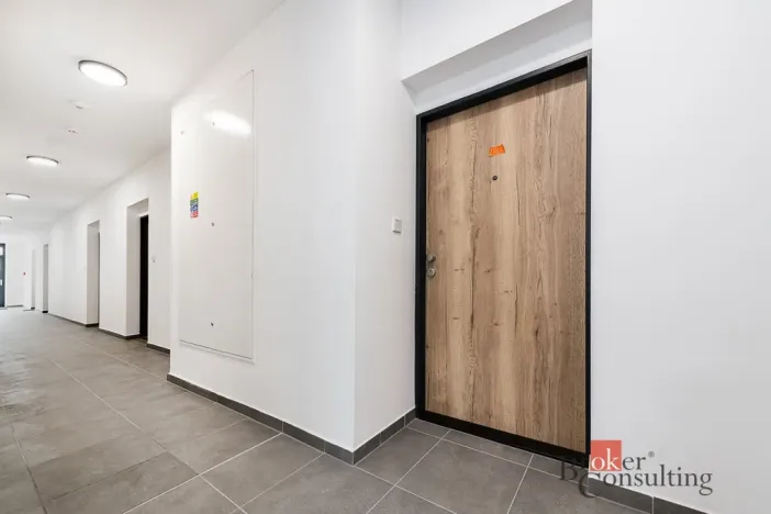 Pronájem bytu 1+kk, Plzeň - Jižní Předměstí, Železná, 35 m2