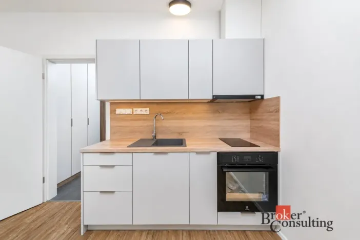 Pronájem bytu 1+kk, Plzeň - Jižní Předměstí, Železná, 31 m2