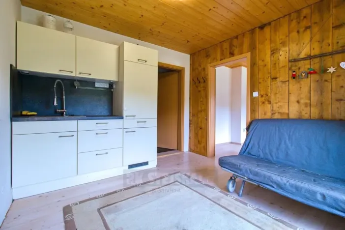 Prodej vícegeneračního domu, Moldava, 410 m2
