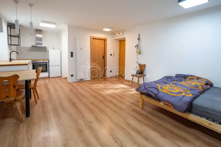 Prodej bytu 1+kk, Neratovice, Školní, 30 m2