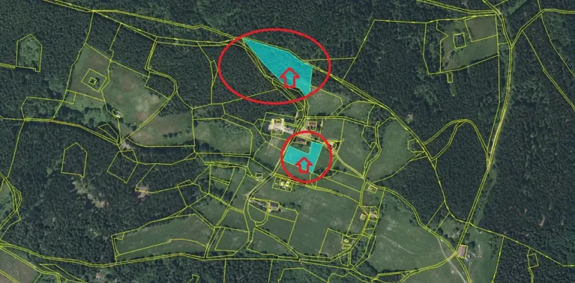 Prodej podílu lesa, Proseč pod Ještědem, 3598 m2