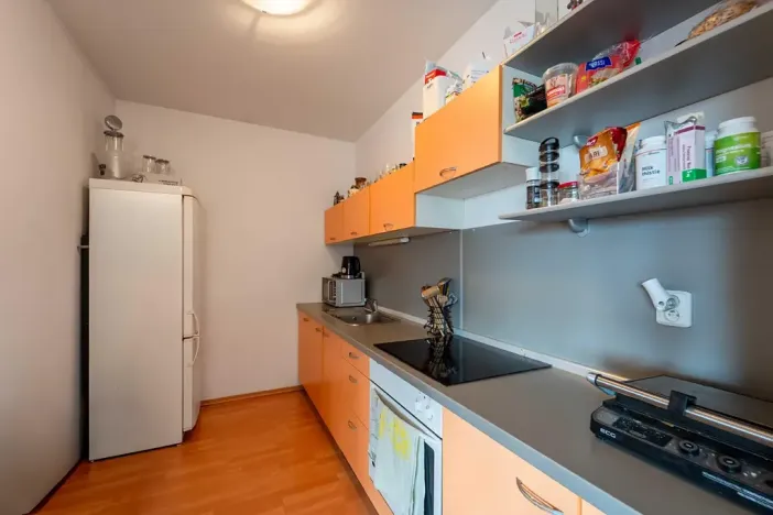 Pronájem bytu 3+kk, Olomouc, Palackého, 70 m2