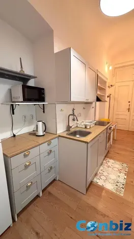 Pronájem bytu 2+1, Praha - Vinohrady, Korunní, 55 m2