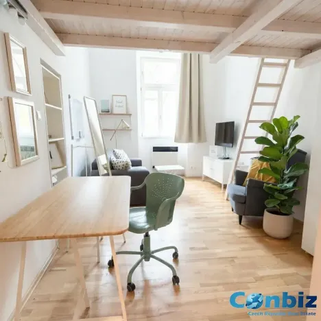 Pronájem bytu 2+1, Praha - Vinohrady, Korunní, 55 m2