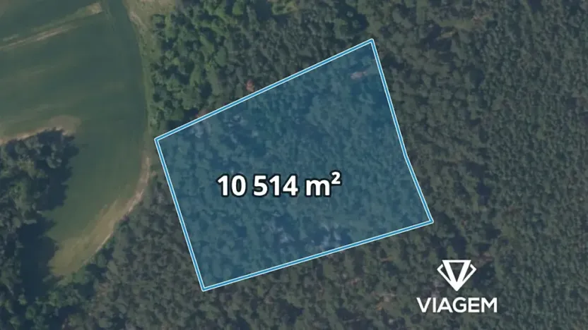 Prodej podílu lesa, Hrdlív, 2102 m2