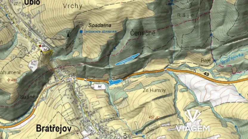 Prodej lesa, Bratřejov, 4108 m2