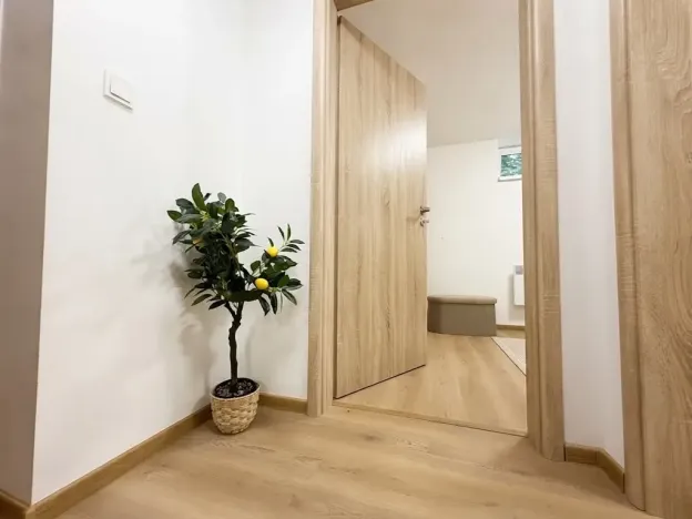 Prodej bytu 3+kk, Brno, Štítného, 50 m2