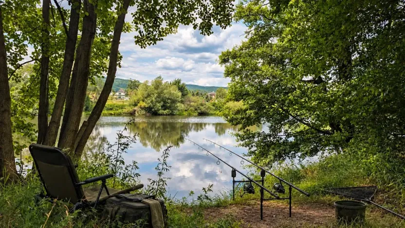 Prodej louky, Lety, 185 m2