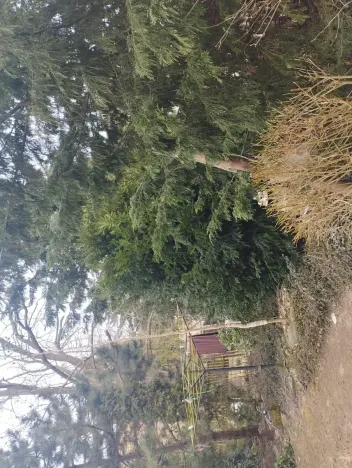 Dražba rodinného domu, Štětí, 86 m2