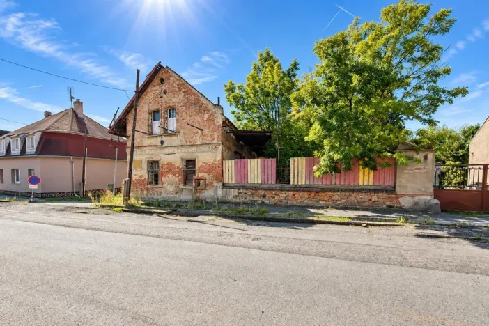 Prodej rodinného domu, Údlice, Revoluční, 263 m2