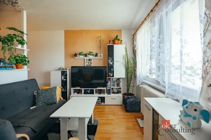 Prodej bytu 2+1, Opočno, Pohořská, 60 m2