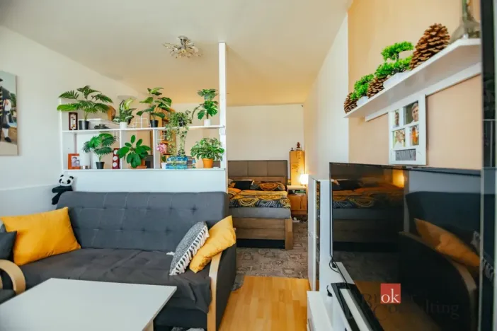 Prodej bytu 2+1, Opočno, Pohořská, 60 m2